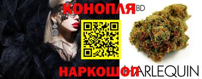 сатива Кунгур