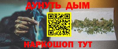 сатива Кунгур