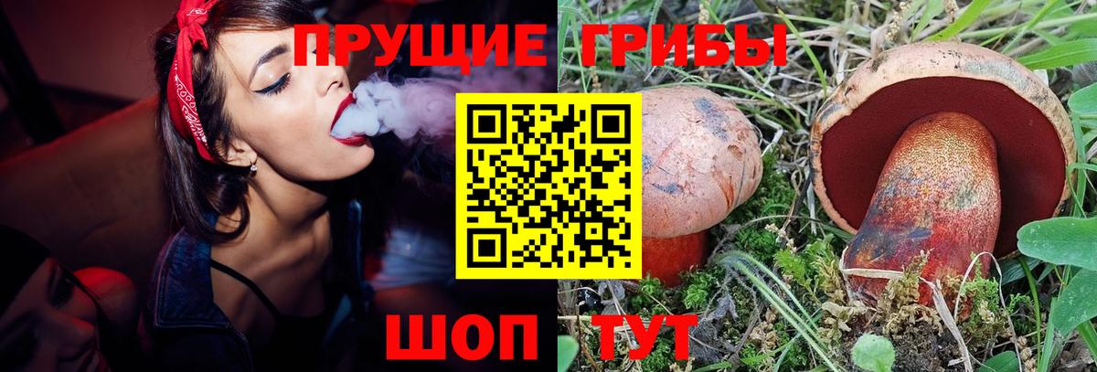 Псилоцибиновые грибы ЛСД Чехов